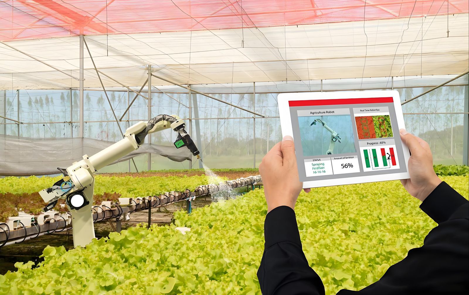 Robot arm treating lettuce, monitored on a tablet