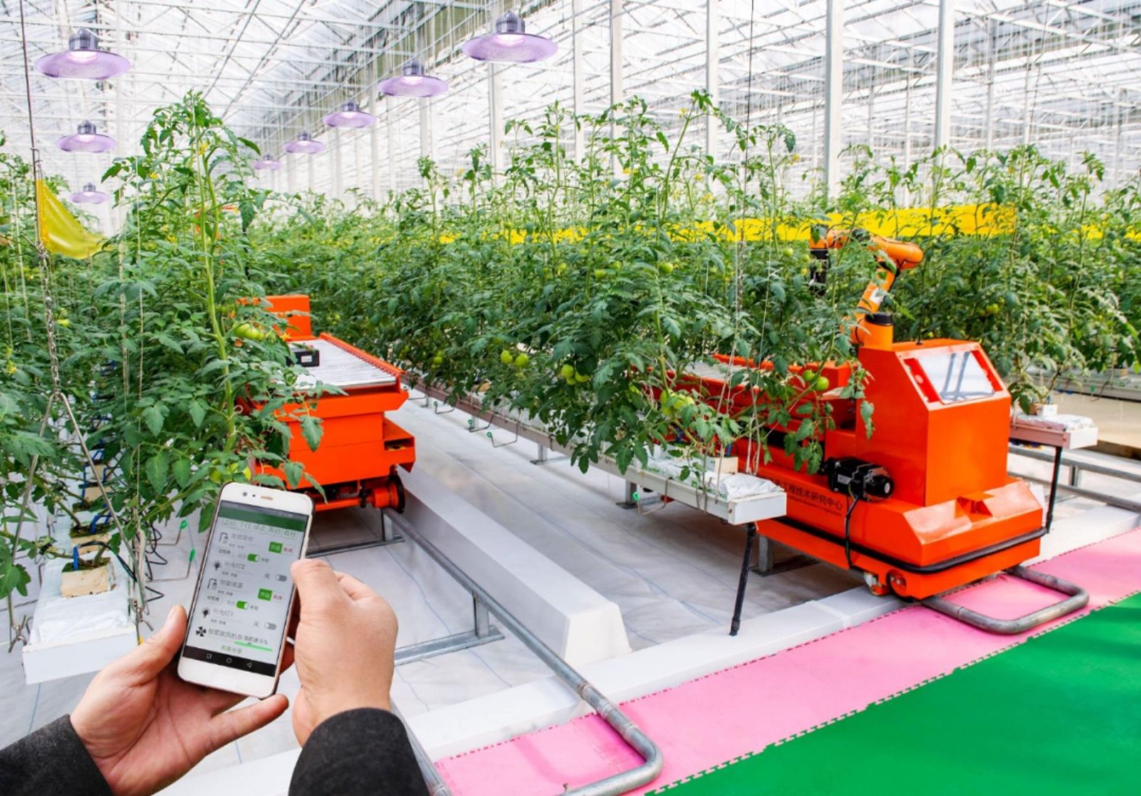 Autonomous greenhouse robots controlled from a smartphone
